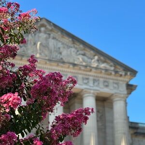 Meet your Posher, Emma